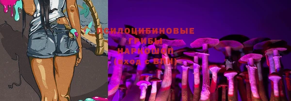 винт Арсеньев