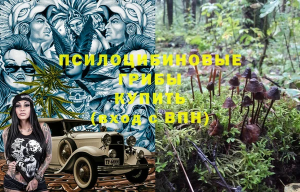 винт Арсеньев