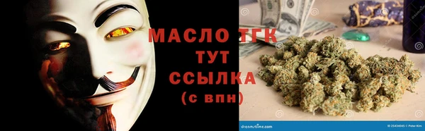 тгк Сатка