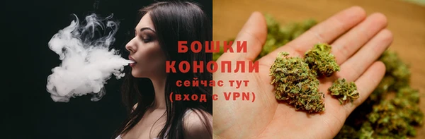 гидропоника Аркадак