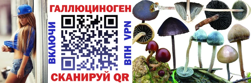 Псилоцибиновые грибы GOLDEN TEACHER  купить  цена  Аша 