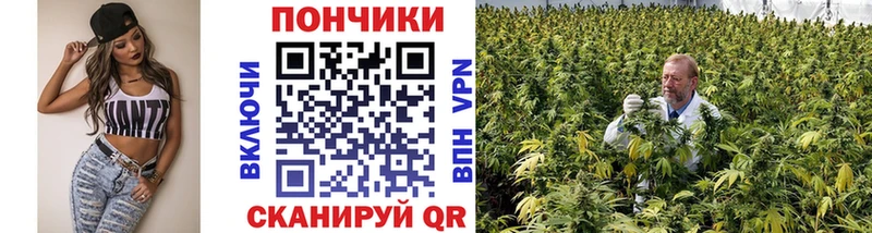 Бошки Шишки тримм  Аша 